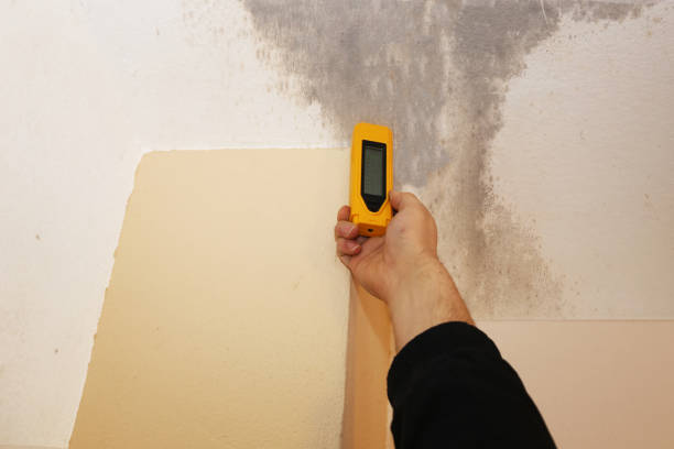 Best Mold Odor Removal Services  in Newville, PA